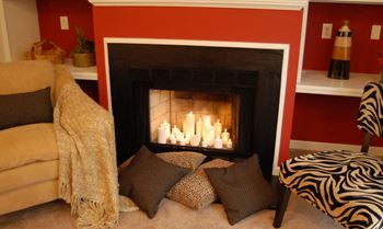 Wood-burning Fireplace